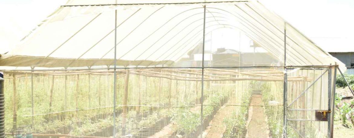 YouSocial Education - KENYA