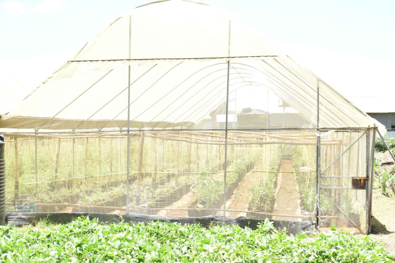 YouSocial Education - KENYA